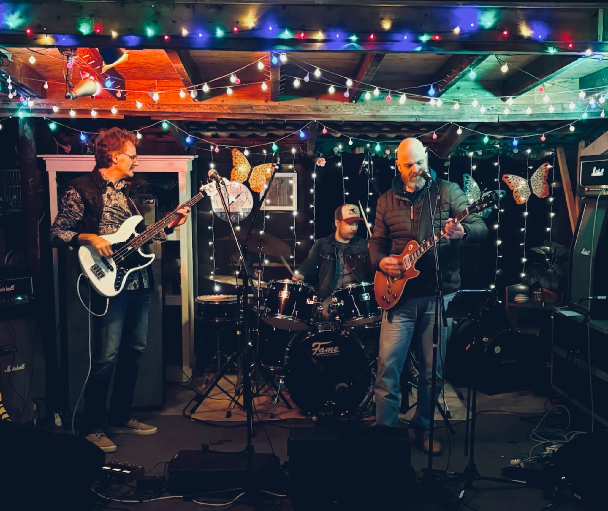 Herding Cats performing live